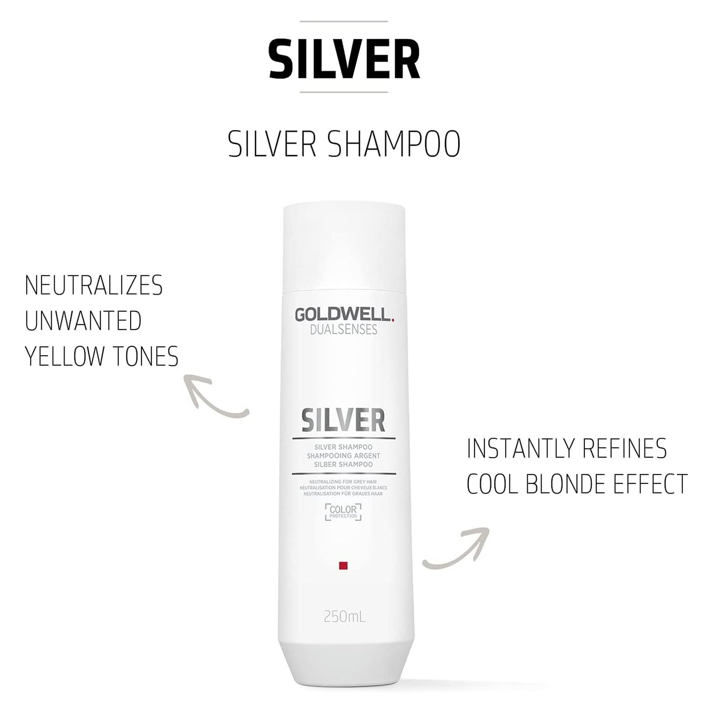 Goldwell Dualsenses SILVER SHAMPOO Neutralizing For Grey Hair 250ml